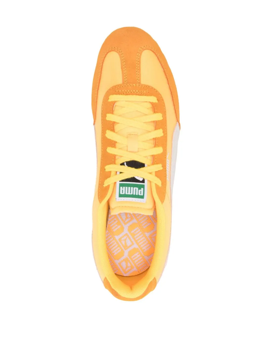 Arizona sneakers