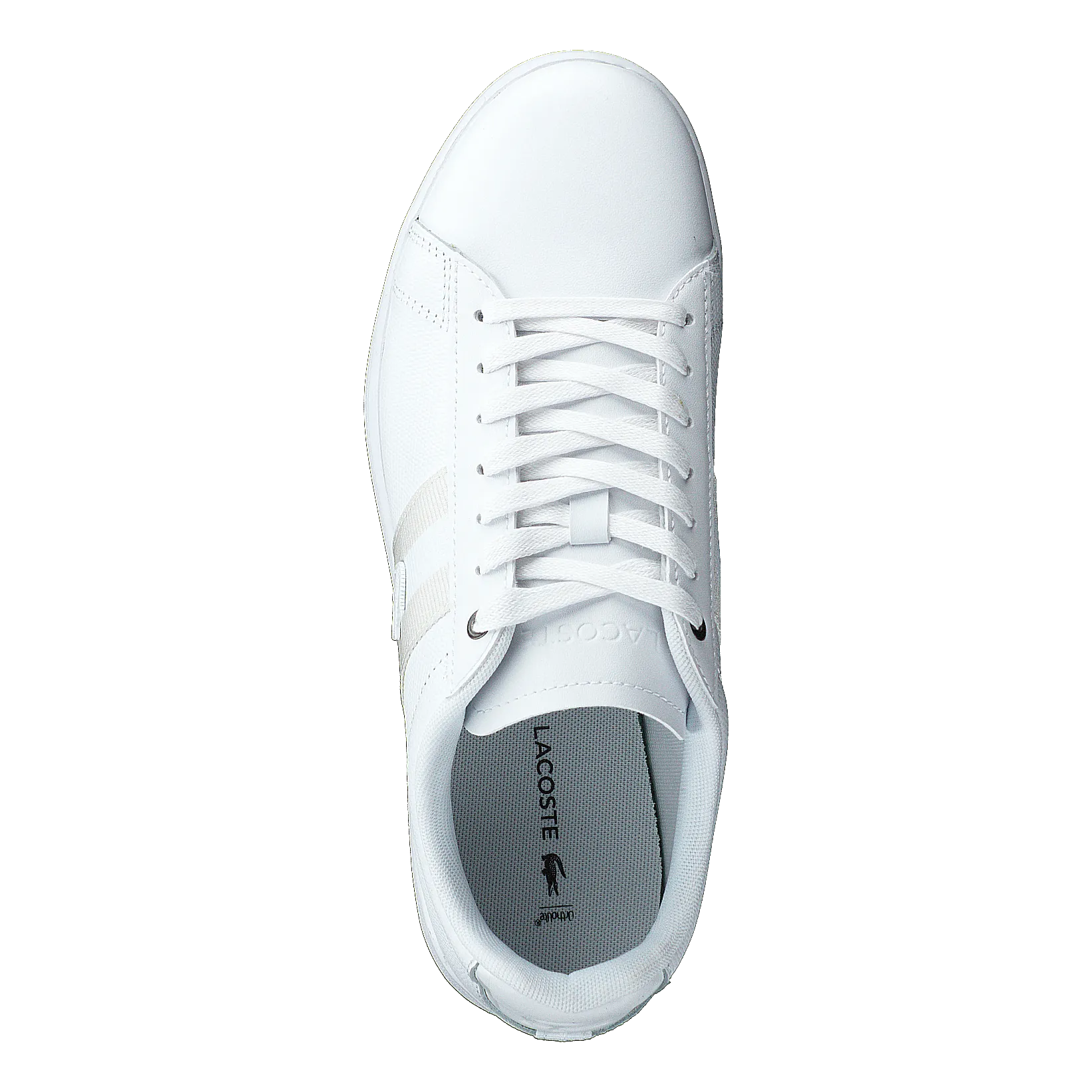 Carnaby Evo 119 5 Sma Wht/wht