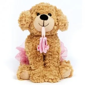 Dasha Dance Puppy with Ballet Shoes