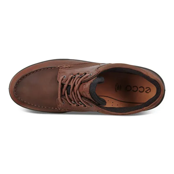 ECCO Men's Track 25 Low GORE-TEX Waterproof - Bison