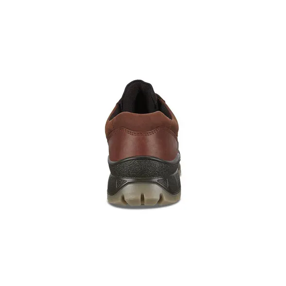ECCO Men's Track 25 Low GORE-TEX Waterproof - Bison