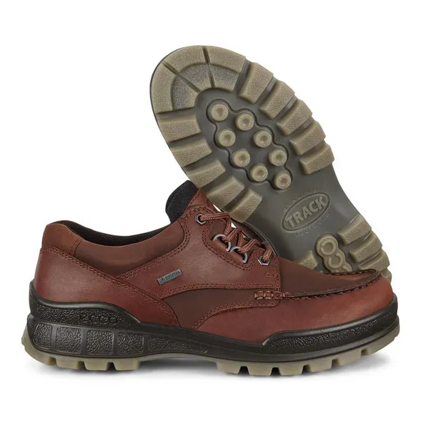 ECCO Men's Track 25 Low GORE-TEX Waterproof - Bison