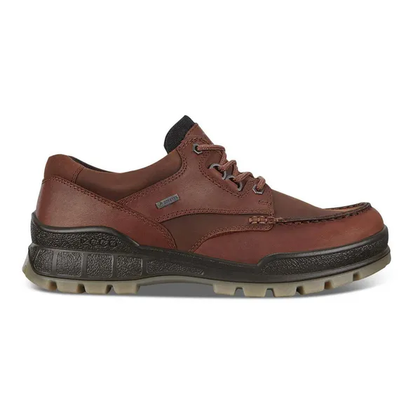 ECCO Men's Track 25 Low GORE-TEX Waterproof - Bison