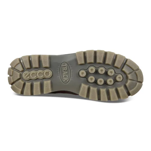 ECCO Men's Track 25 Low GORE-TEX Waterproof - Bison