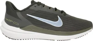 Nike Air Winflo 9 DD6203 300